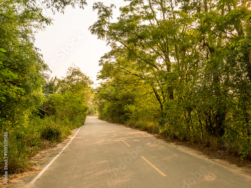 Road on county way to Chon Buri, Thailand