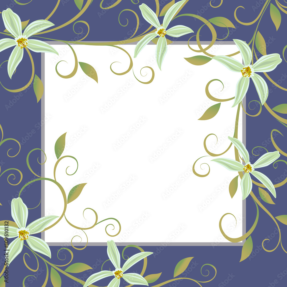 Vector illustration of Curling vines of the orchids of vanilla. Vector illustration of Curling vines of the orchids of vanilla.