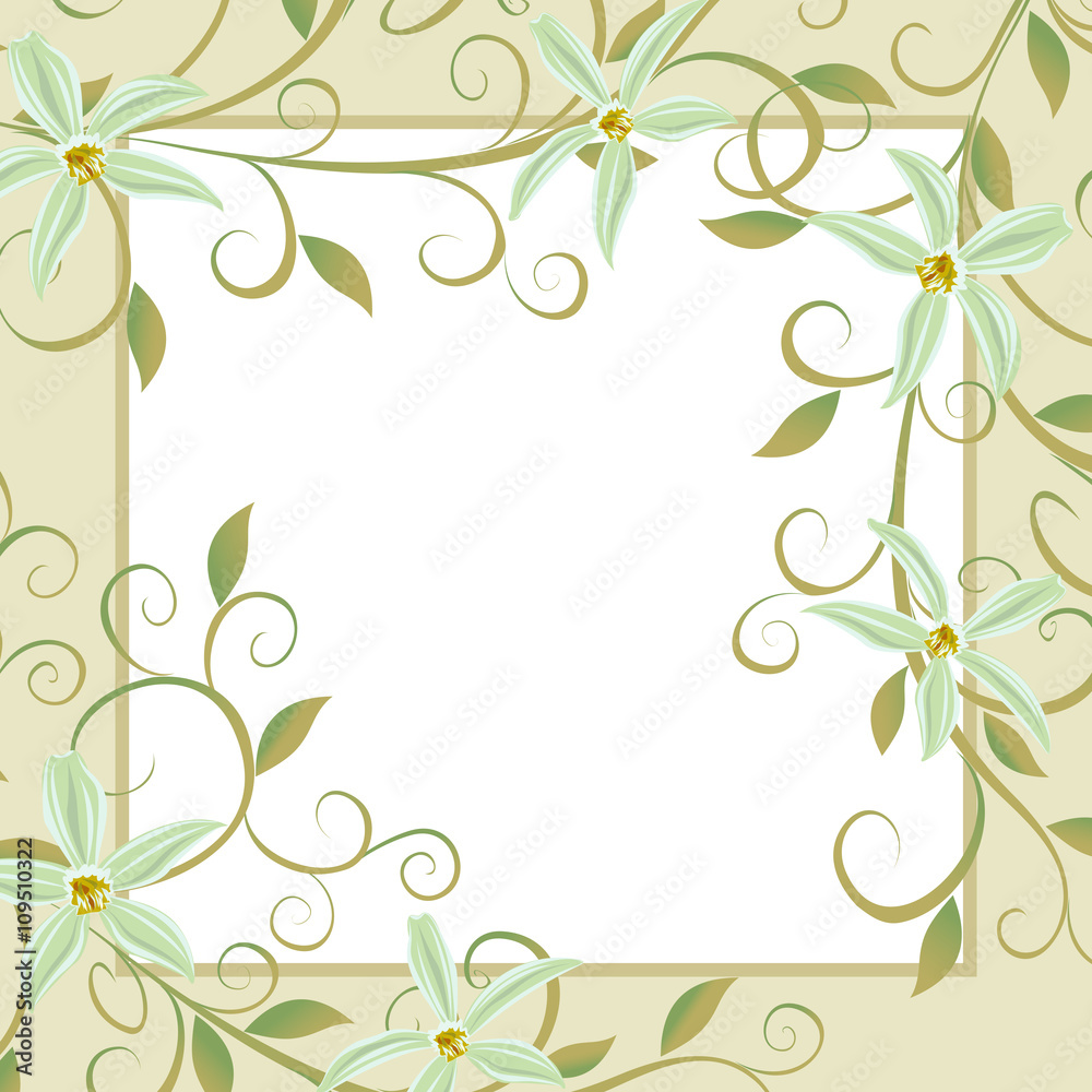 Vector illustration of Curling vines of the orchids of vanilla. Vector illustration of Curling vines of the orchids of vanilla.