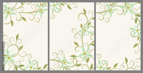 Vector illustration of Curling vines of the orchids of vanilla.