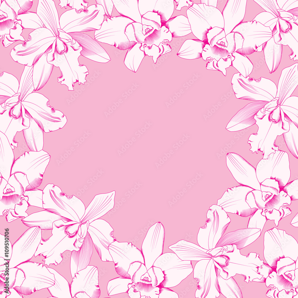 Orchid on pink background, vector illustration