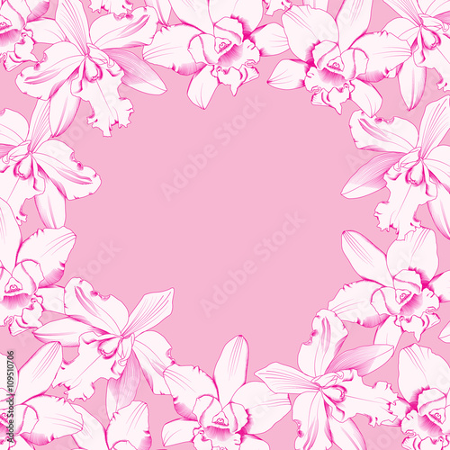 Orchid on pink background  vector illustration