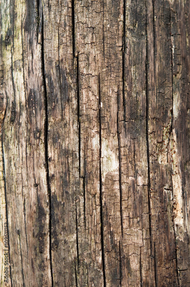 Alte rustikale Holzbretter als Hintergrund