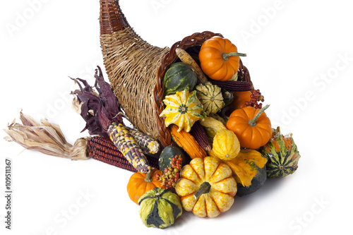 fall cornucopia photo