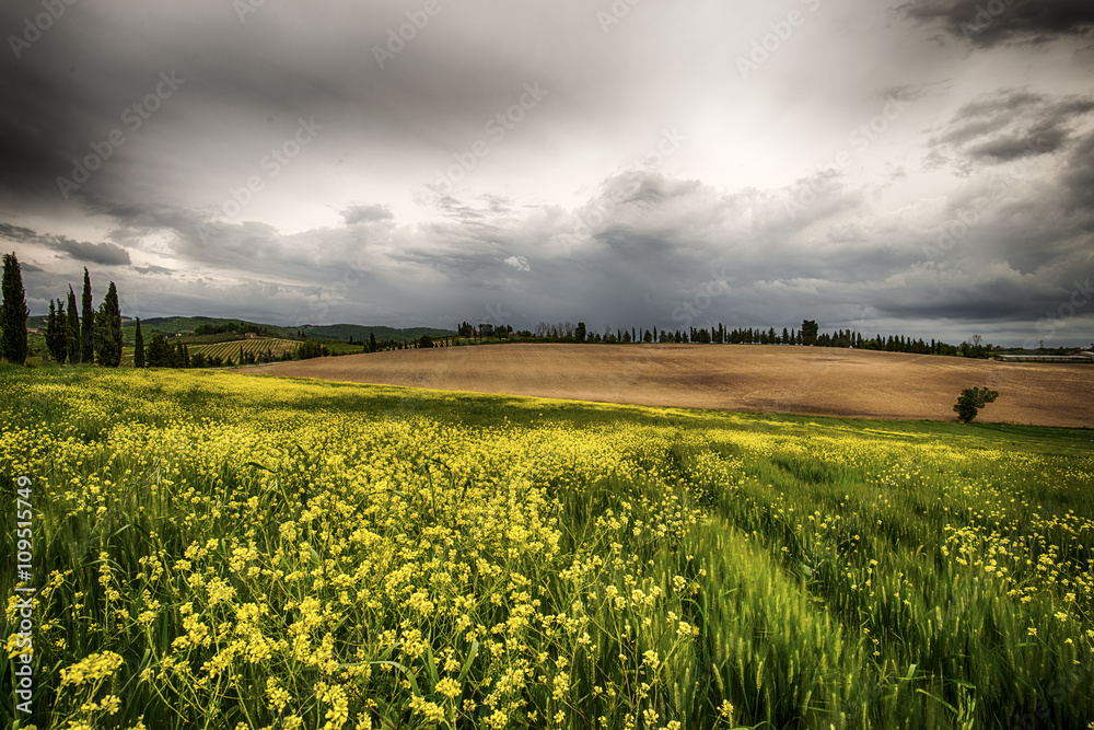 Obraz premium Country landscape