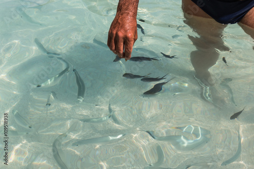 Catching Fishes in Transparent Sea with Bare Hands