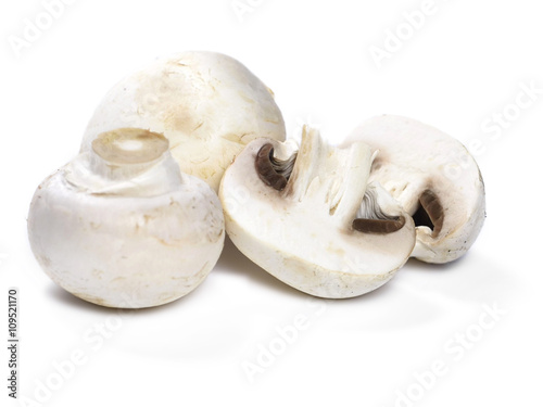 Champignons or white mushrooms, isolated on white background.