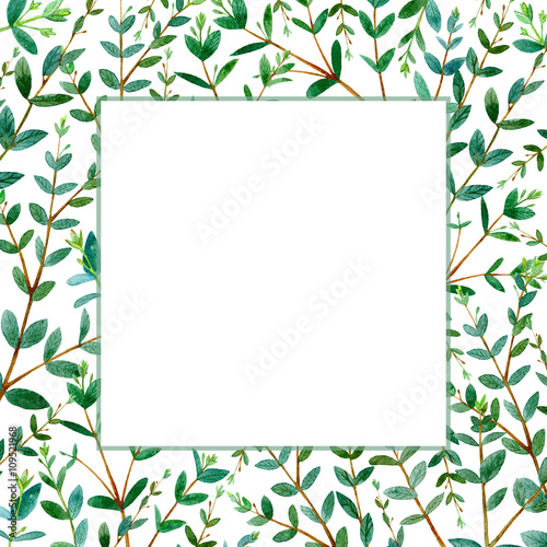 Frame with eucalyptus branches.Green floral border.Watercolor hand drawn illustration.