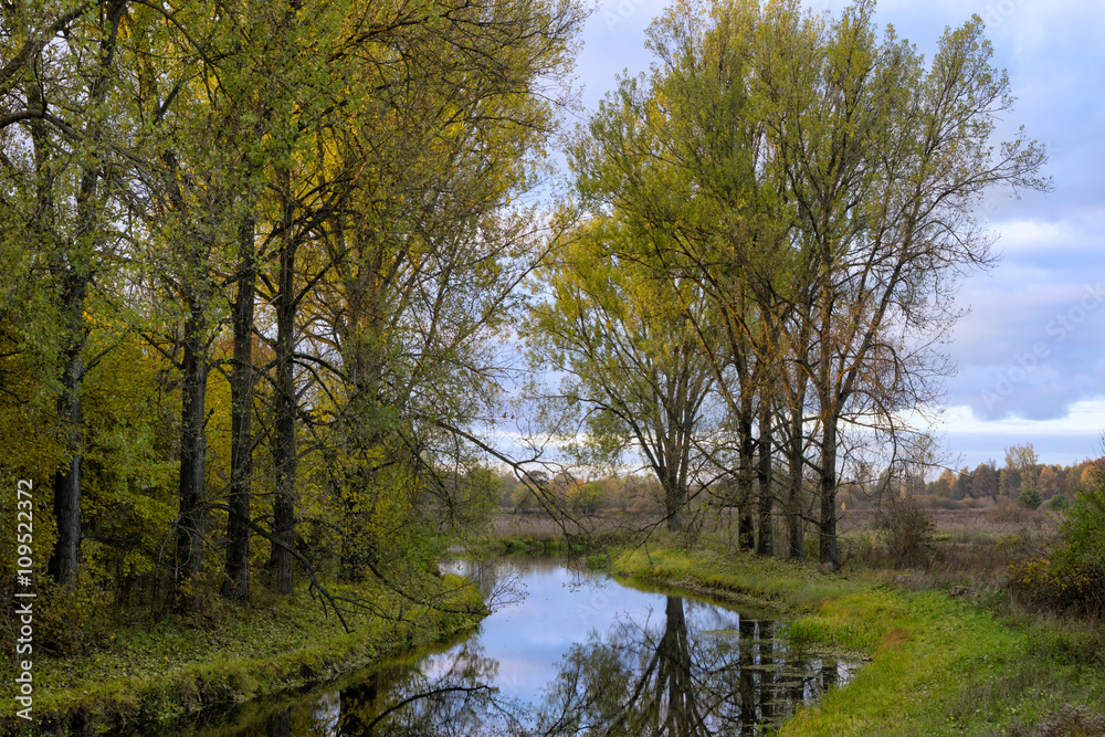 Elk River with green trees.  Masuria, Poland.
