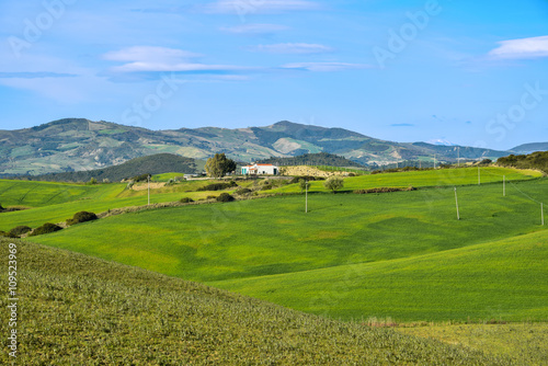 Rolling hills in the province of Matera, Basilicata Italy
