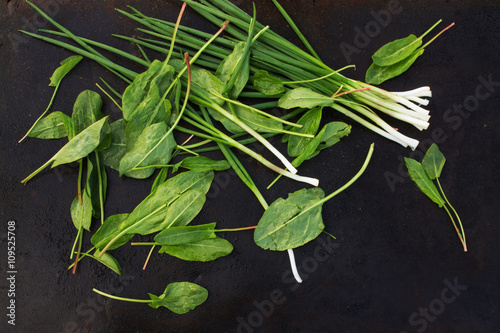 chives and sorrel leaves scattered on a dark background.