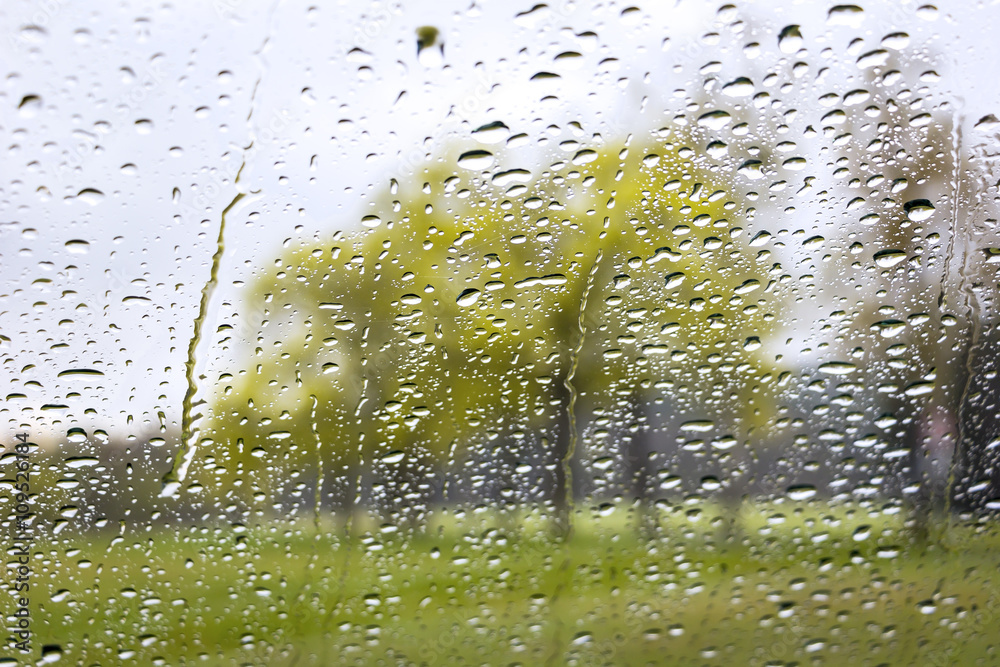 Rainy spring day, photographed from the car