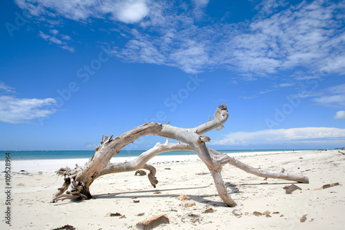 Diani Beach Mombasa
