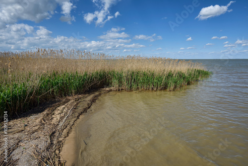 Lake shore view with reed and cloudy sky