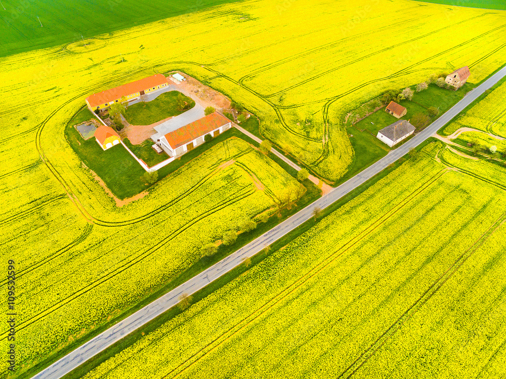 Aerial Farm Fields