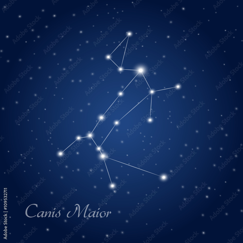 Fototapeta premium Canis Maior constellation at starry night sky