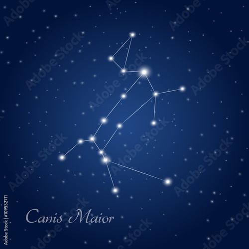 Canis Maior constellation at starry night sky