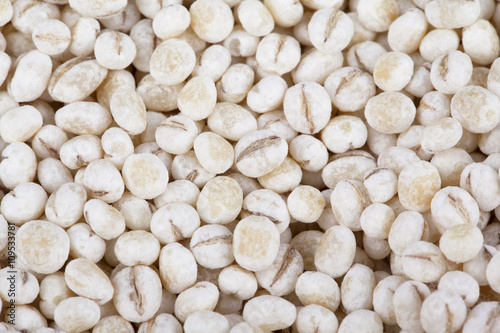 close-up image of white beans.
