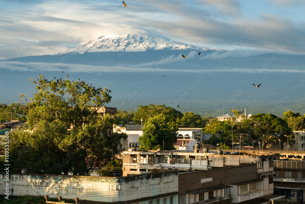 Obraz premium Kilimanjaro from Moshi, Tanzania