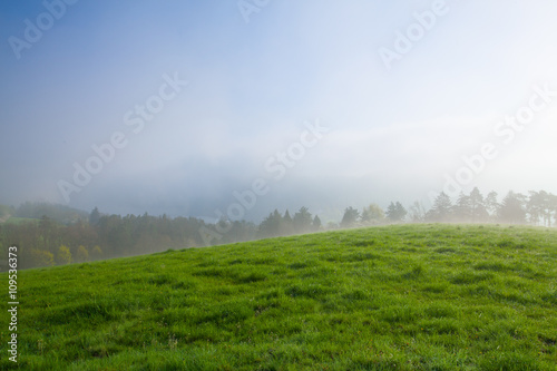 In the morning mist on a meadow © Radomir Rezny