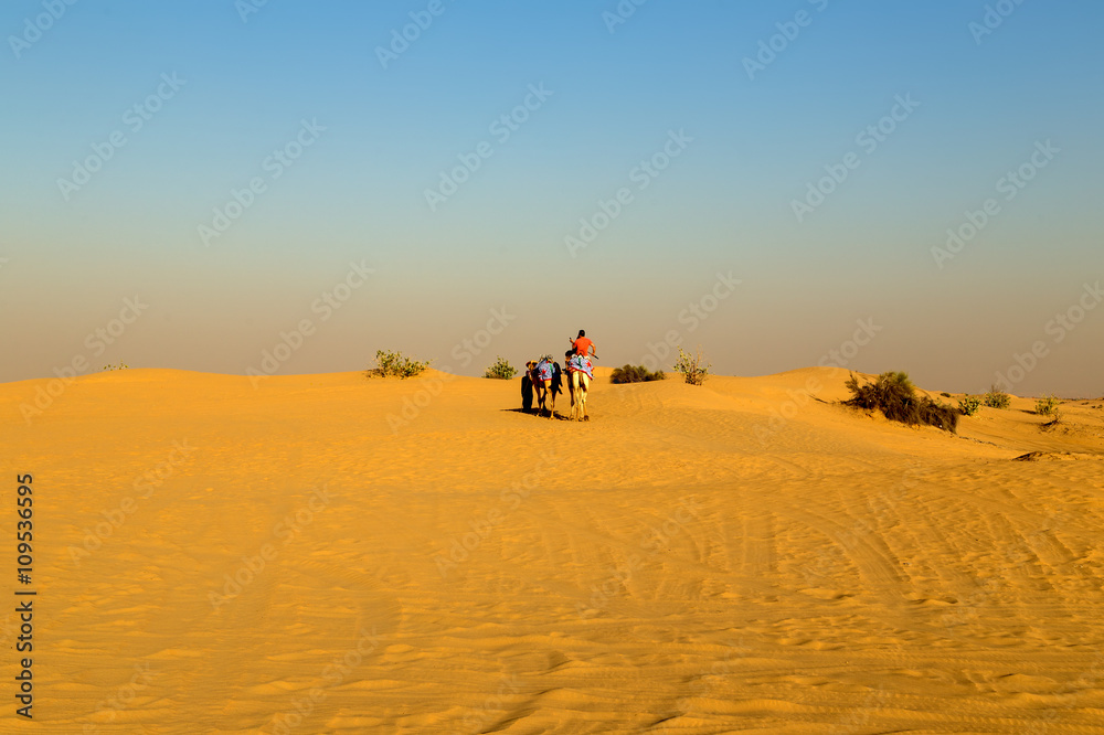 camel safari on sand dunes