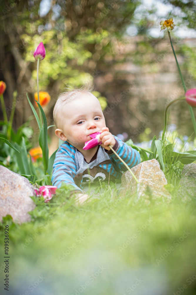 Baby verschenkt Tulpe