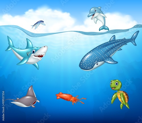 Cartoon sea animals 