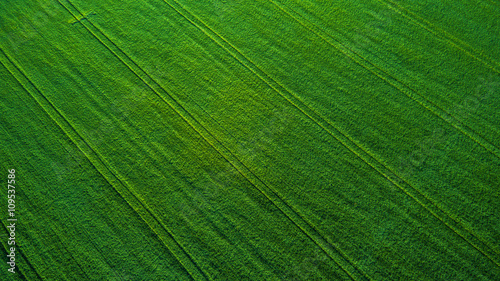 Aerial view over the agricultural fields