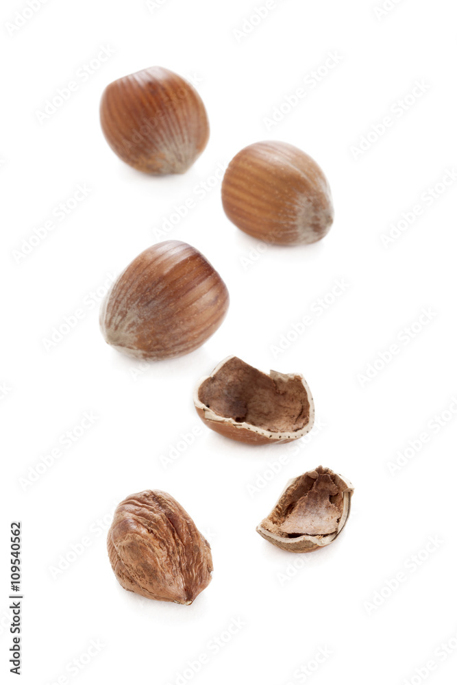brown hazel nuts