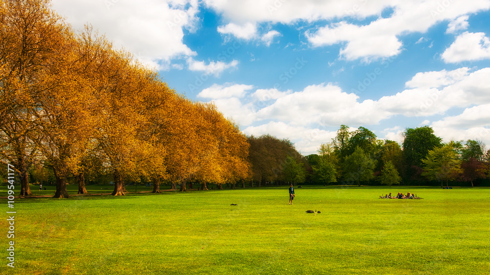 Fototapeta premium Green park in spring, Cambridge, England 