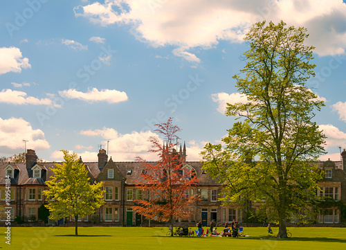 Spring view in the park