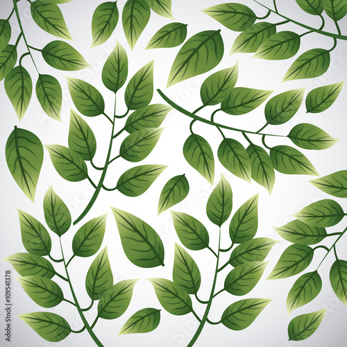Tropical leaves design. leaf icon. natural concept  vector illustration