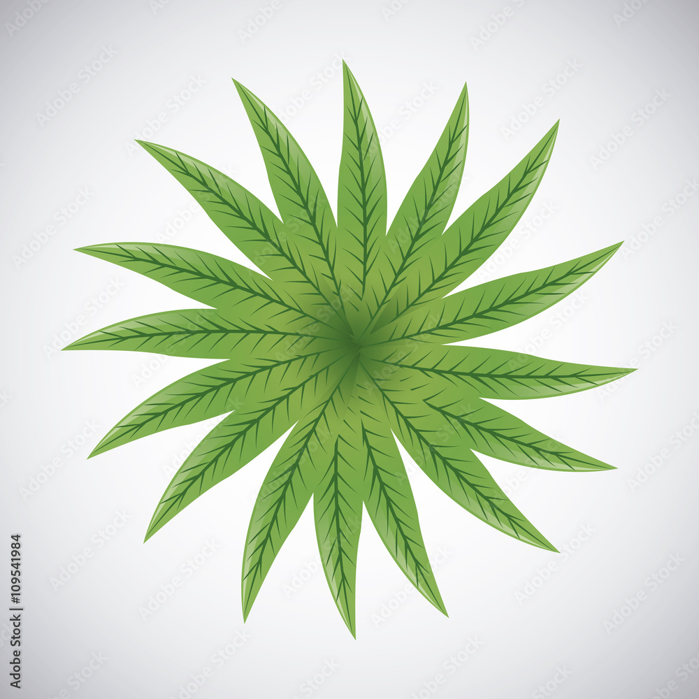 Tropical leaves design. leaf icon. natural concept, vector illustration Tropical leaves design. leaf icon. natural concept, vector illustration