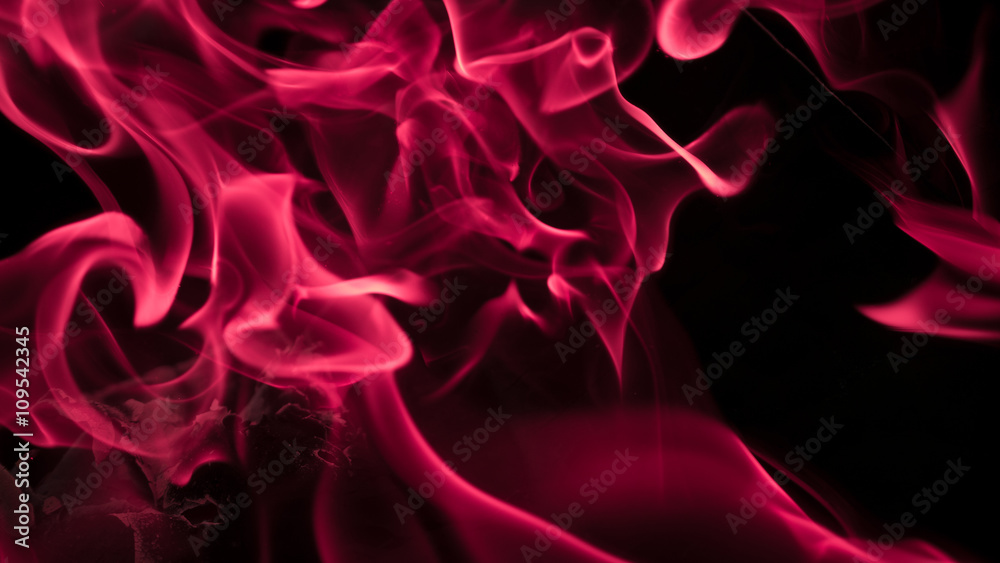 Purple Fire Purple Fire