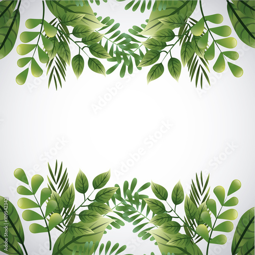 Tropical leaves design. leaf icon. natural concept, vector illustration