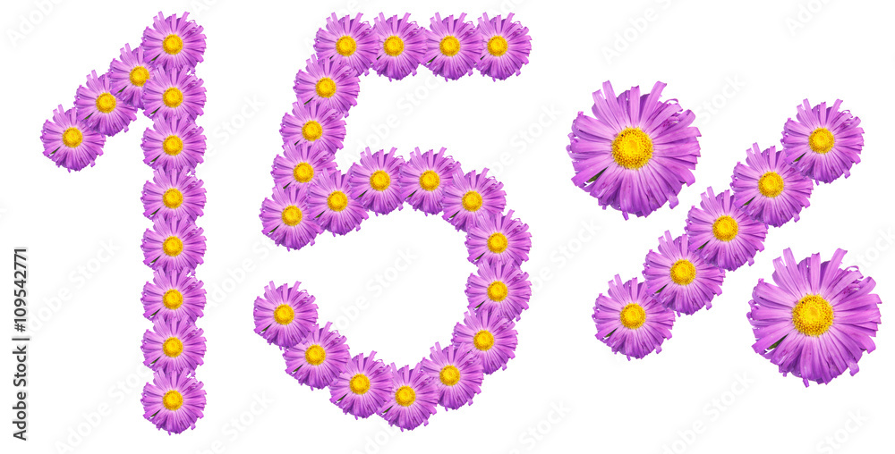 figures 15% of the letters written by purple flowers figures 15% of the letters written by purple flowers