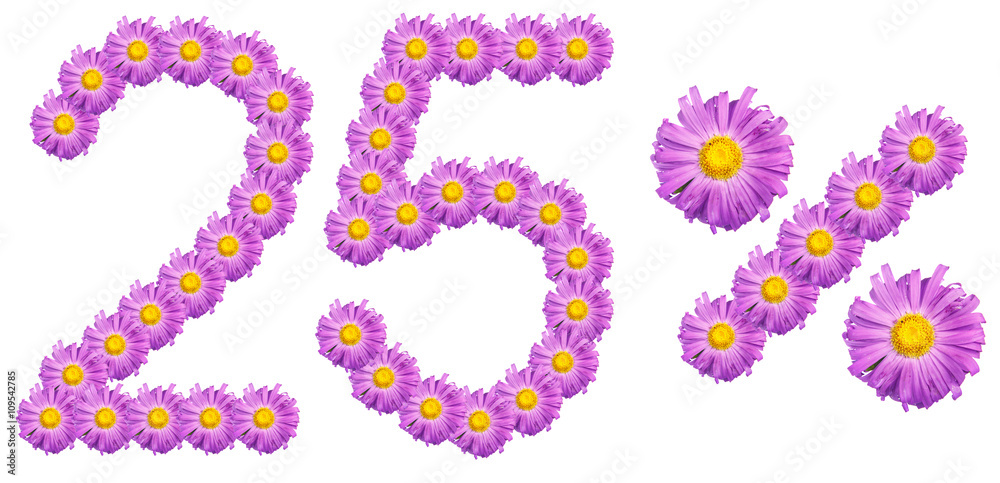 figures 25% of the letters written by purple flowers figures 25% of the letters written by purple flowers