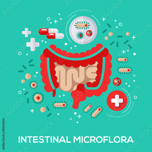 Intestinal microflora flat icons concept. 