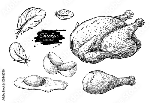 Vector Chicken farming products drawings. Engraved baked whole chicken, eggs, chicken leg 