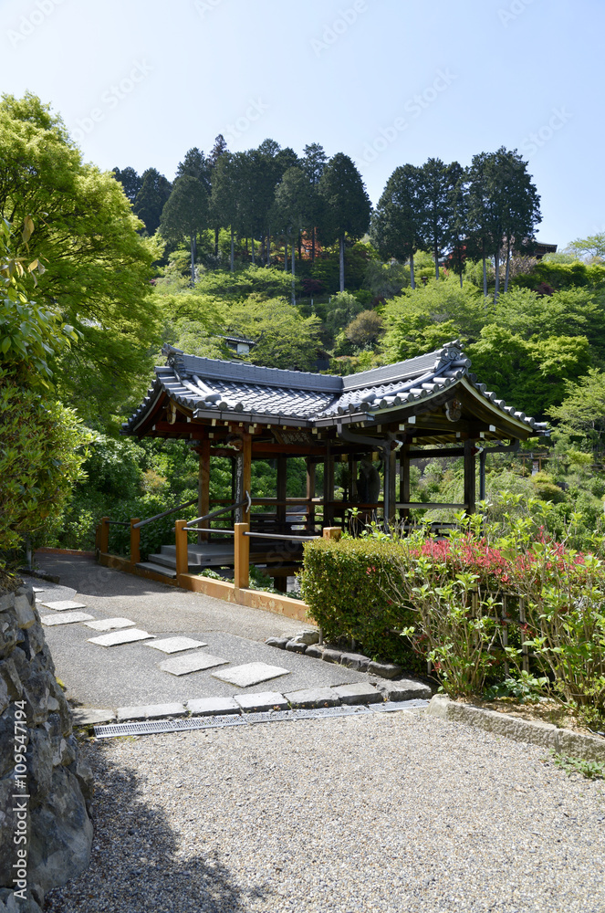 Fototapeta premium 善峯寺