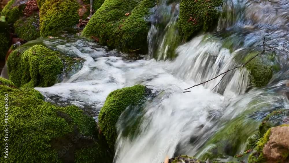 A river flows over rocks in this beautiful scene. Forest stream running over mossy rocks. Pure fresh water waterfall in forest. A river flows over rocks in this beautiful scene. Forest stream running over mossy rocks. Pure fresh water waterfall in forest.
