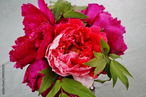 Bouquet of fragrant pink tree peony flowers