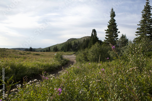 Rural scene, Bountiful, Utah, USA