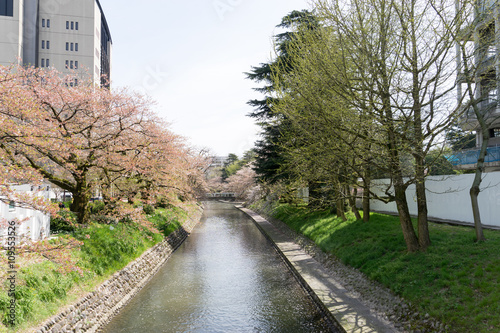 Wallpaper Mural 松川　安住橋より Torontodigital.ca