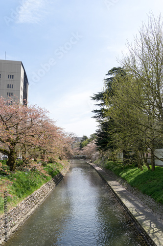 Wallpaper Mural 松川　安住橋より Torontodigital.ca