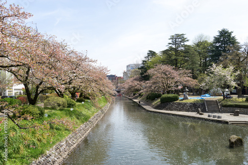 Wallpaper Mural 松川　七十二峰橋より Torontodigital.ca