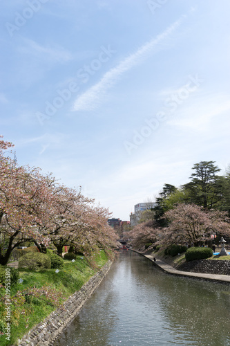 Wallpaper Mural 松川　七十二峰橋より Torontodigital.ca