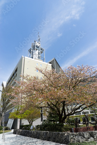 Wallpaper Mural 富山市役所 Torontodigital.ca