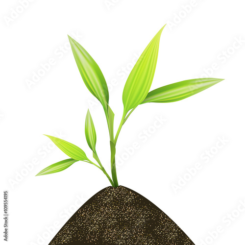 Think green and ecology concept. Growing plant in soil and nature background.