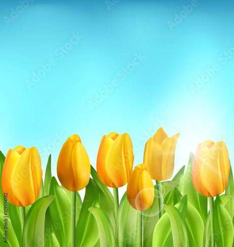 Nature Floral Background with Tulips Flowers and Blue Sky